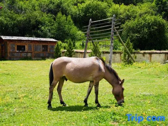 Shangri -la Liotard Farm  Fix Camp
