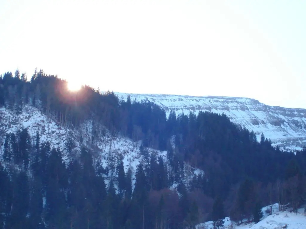 Hotel Alpina