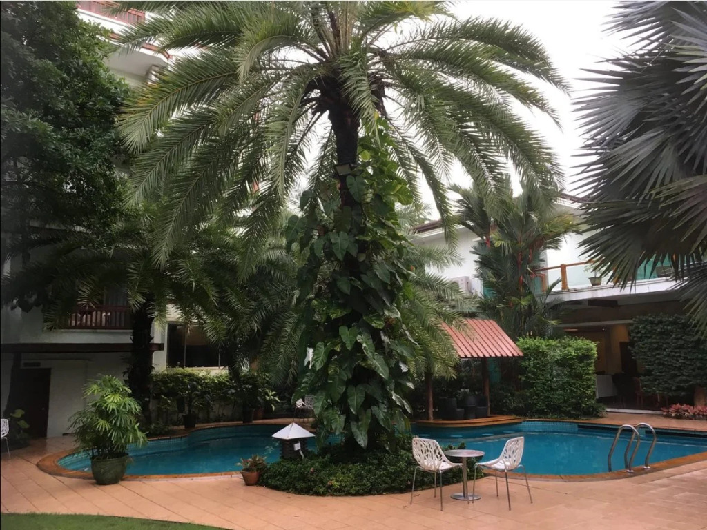 Palm Spring Resort & Spa