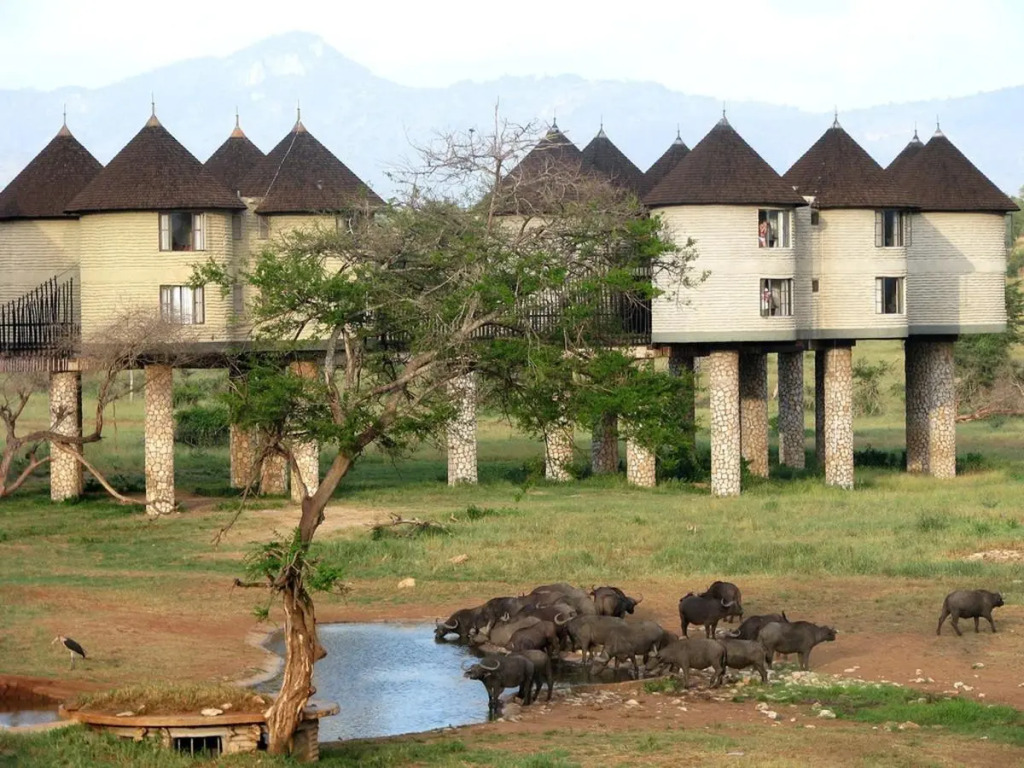 Salt Lick Safari Lodge