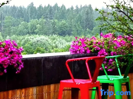 Changbai Mountain Nashan Holiday Hotel