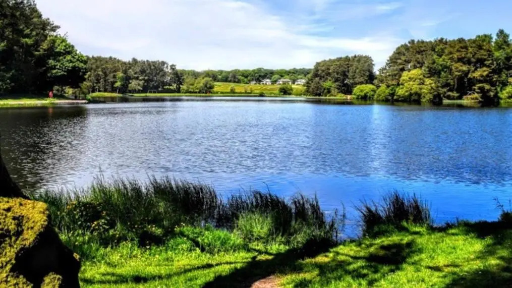 Tranquil accommodation in a great location.