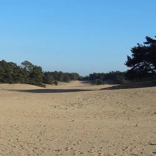 Vakantie op de Veluwe