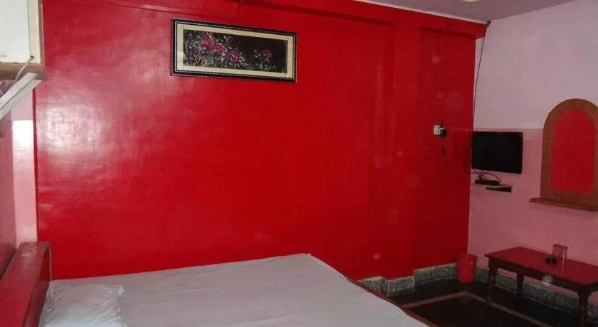 Hotel Vikas