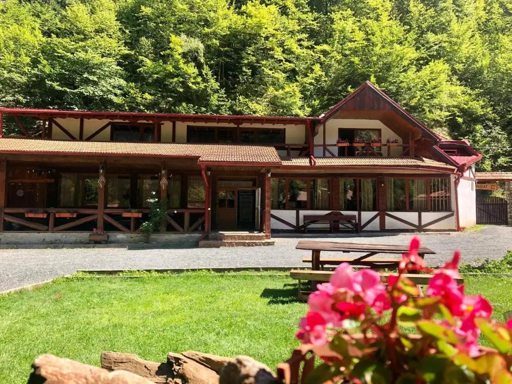 Cabana Ovidiu
