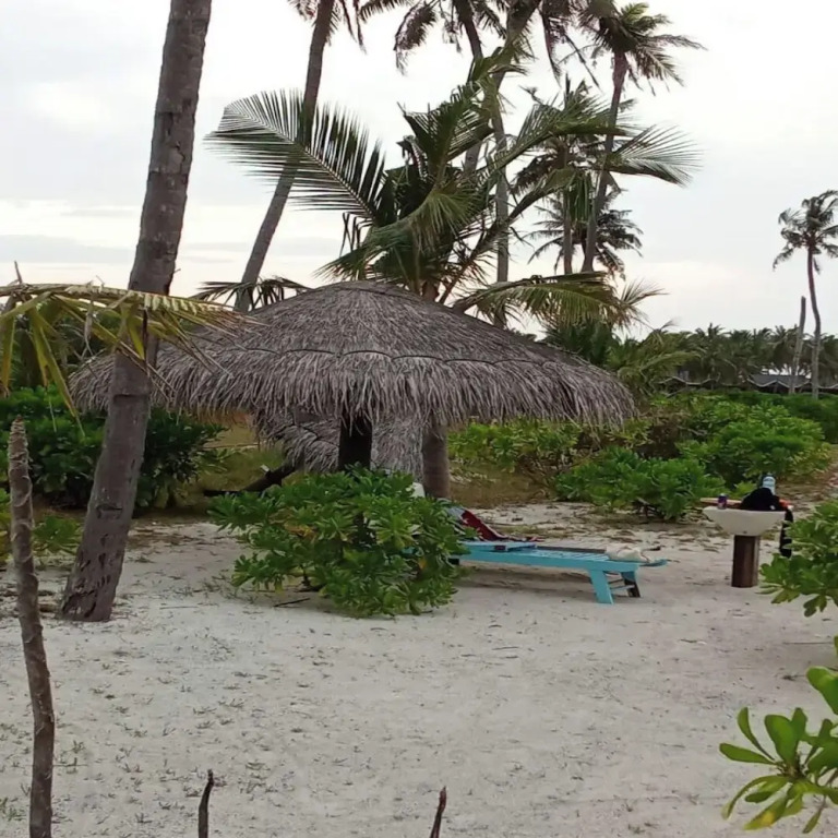 Sea Breeze View