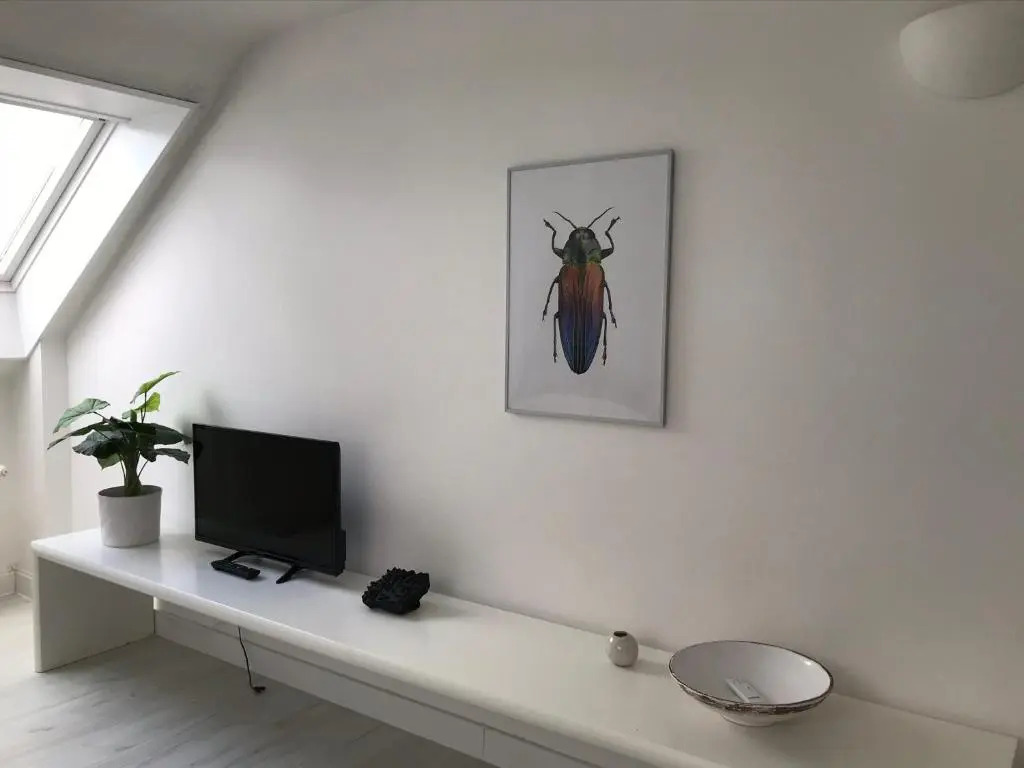 City Apartment gegenüber vom Kurhaus