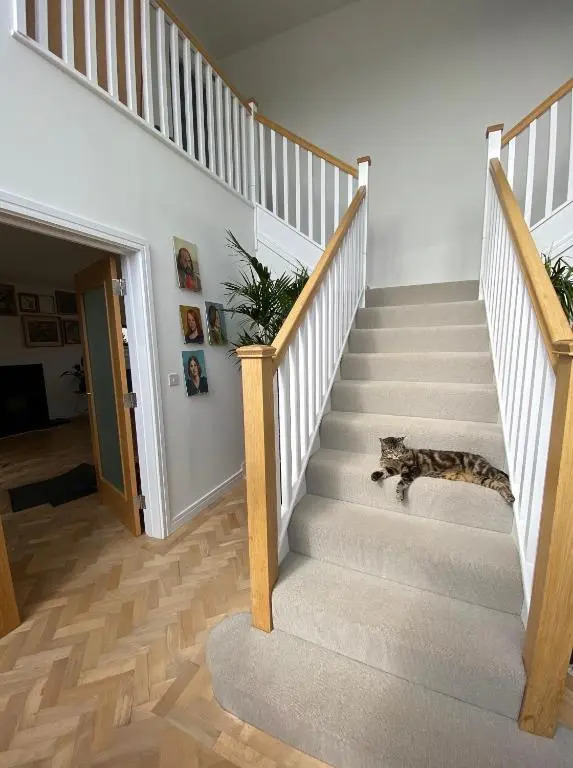 5 bedroom modern home, Totnes - 10 guests, 7 day minimum booking