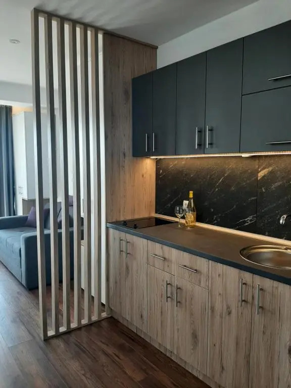 Ariš Kopaonik apartman A21