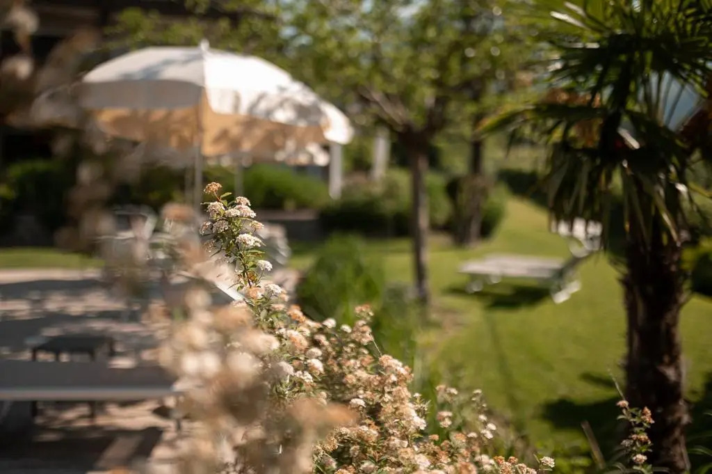Hotel Salgart