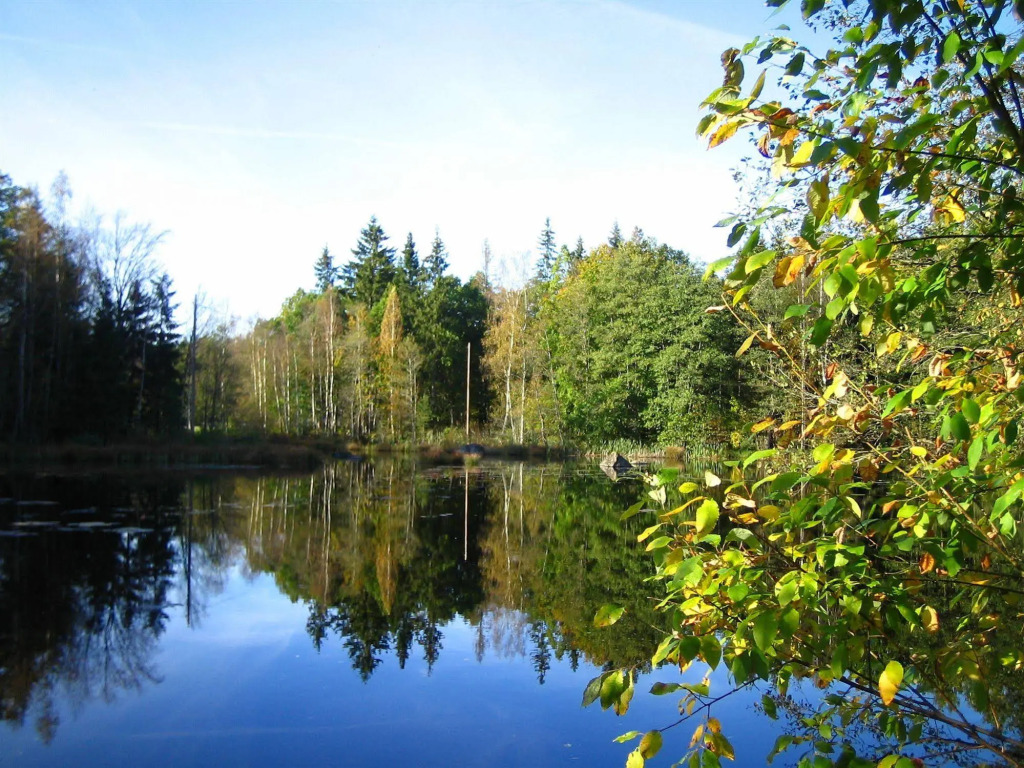 Kvarnen i Knällsberg