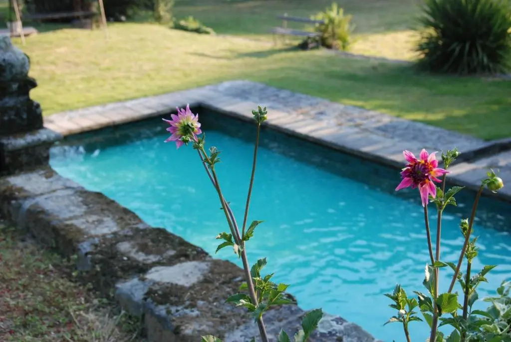 1720 Quinta da Cancela - Winery & Farmhouse