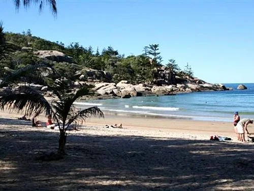 Canopy Chalets
