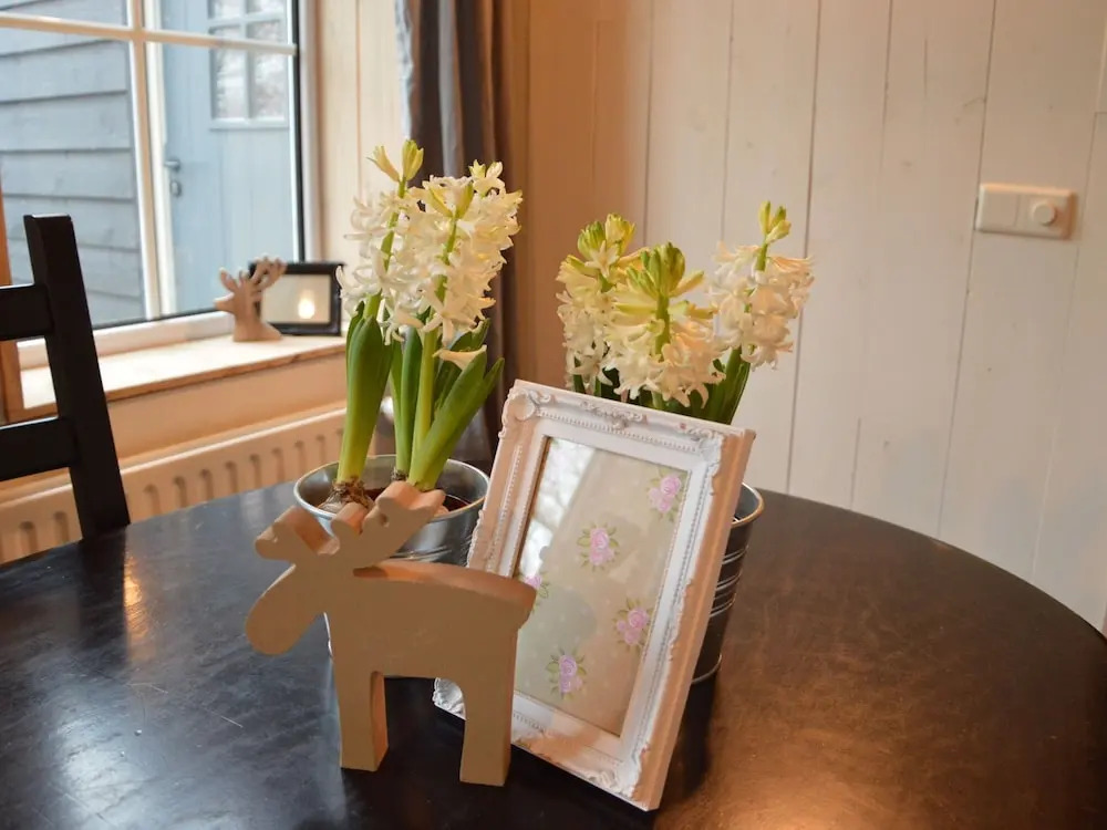 Cozy Holiday Home in Oisterwijk with Private Garden