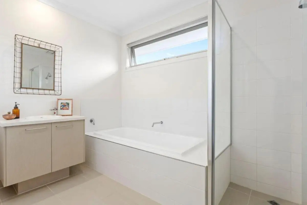 Corymbia Mount Martha