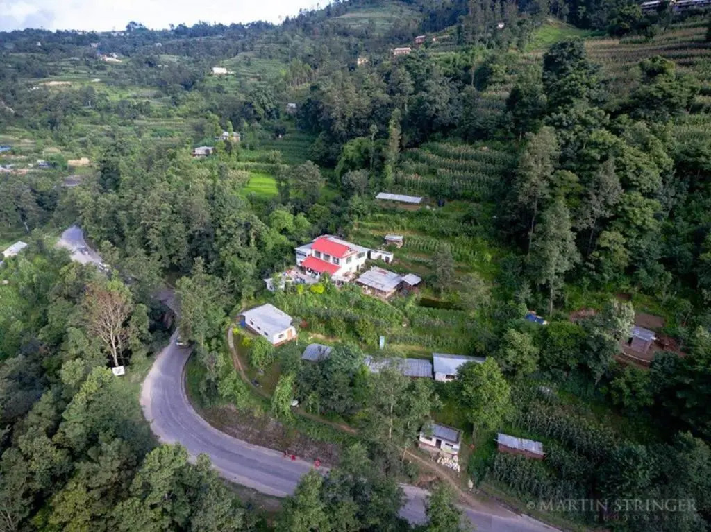 Hasera Organic Farmstay: Farm to Table & Mountain View