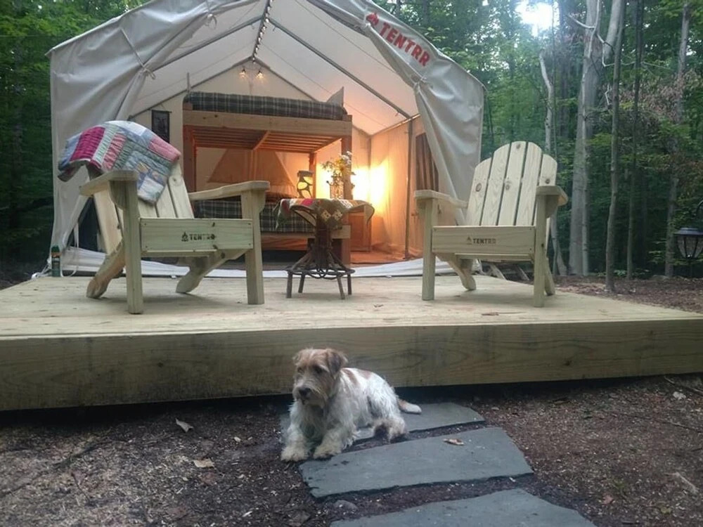 Tentrr - R Shady Creek Camp