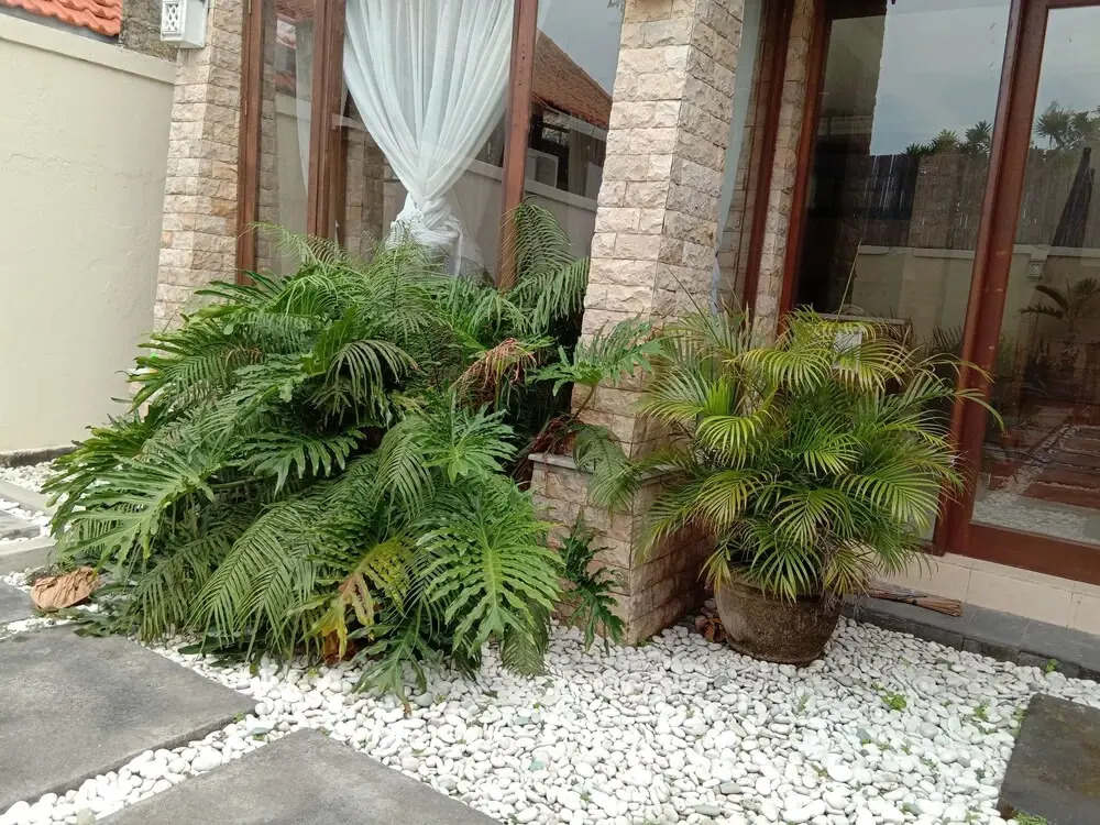 Loven Sanur Guest House