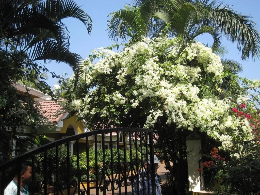 Casa Jorge