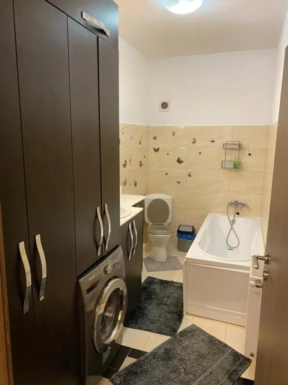 Cosmin Apartament Sondelor 4