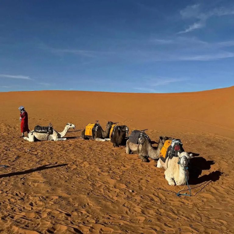Sahara Luxury Camps