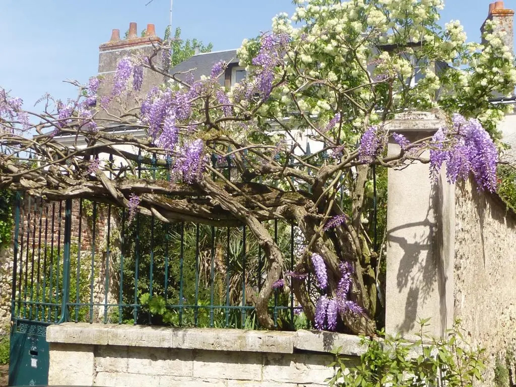 La Petite Vigne
