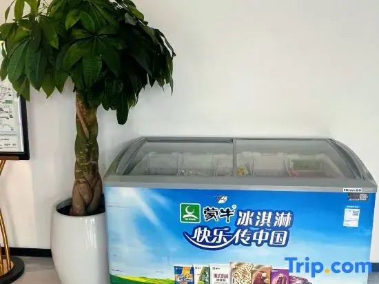 Star Star Hotel Apartment (Shanghai Pudong Airport)
