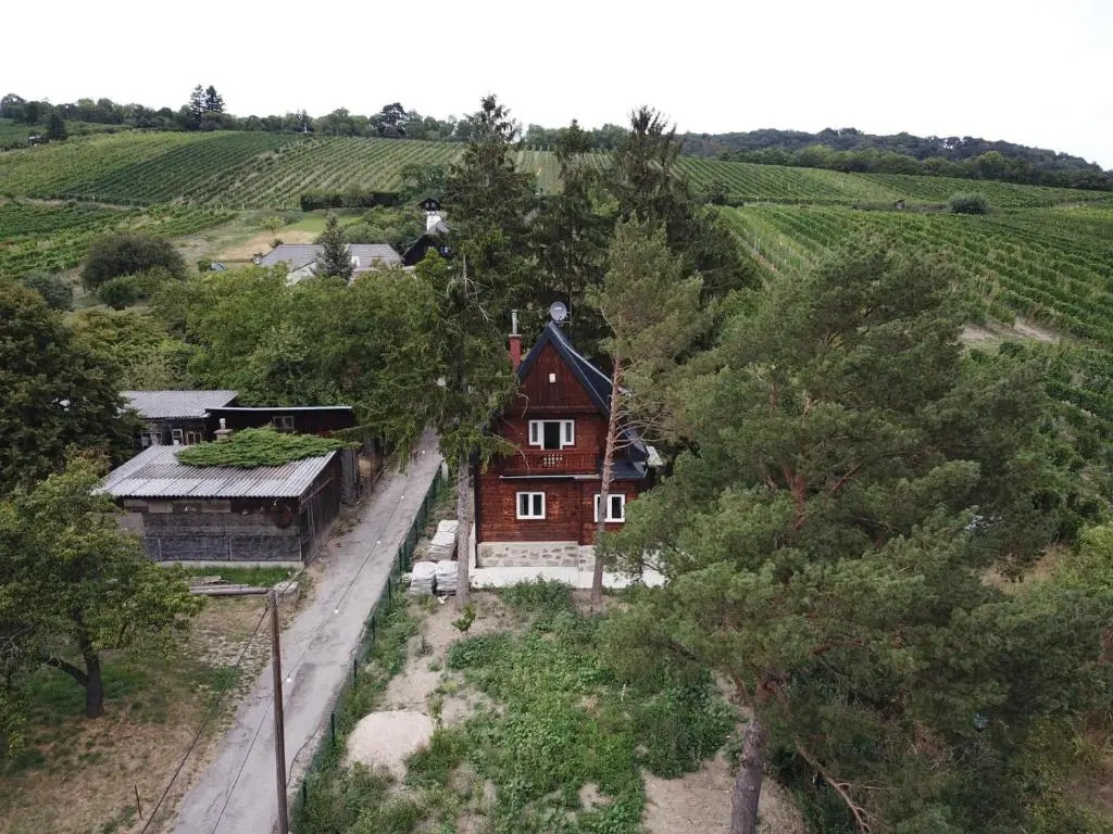 Vacationhome in the vineyards