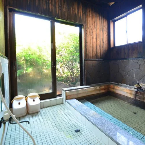 Shinyu Onsen Ryokan