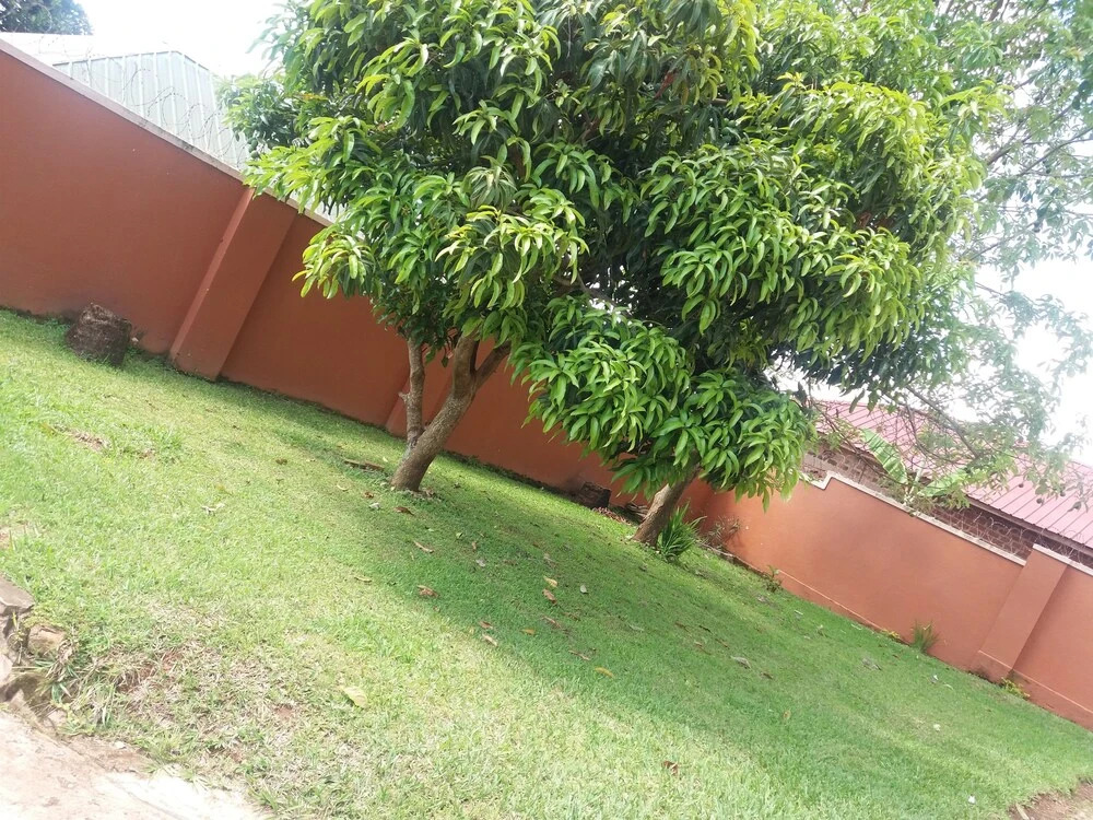Eagles Residential