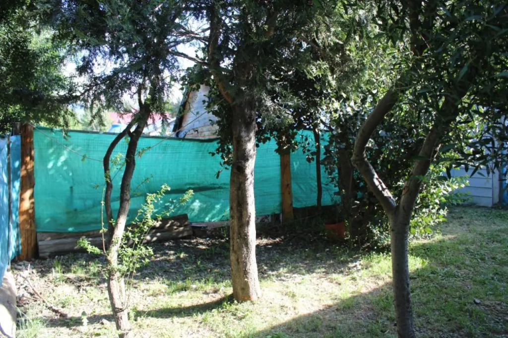 Choique Cabaña