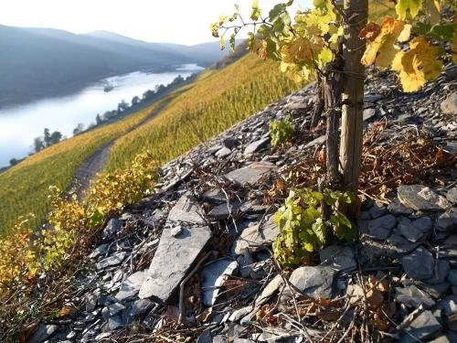 Wein- und Landhaus S A Prüm