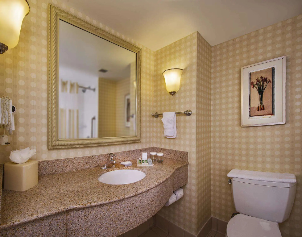 Hilton Garden Inn Tysons Corner