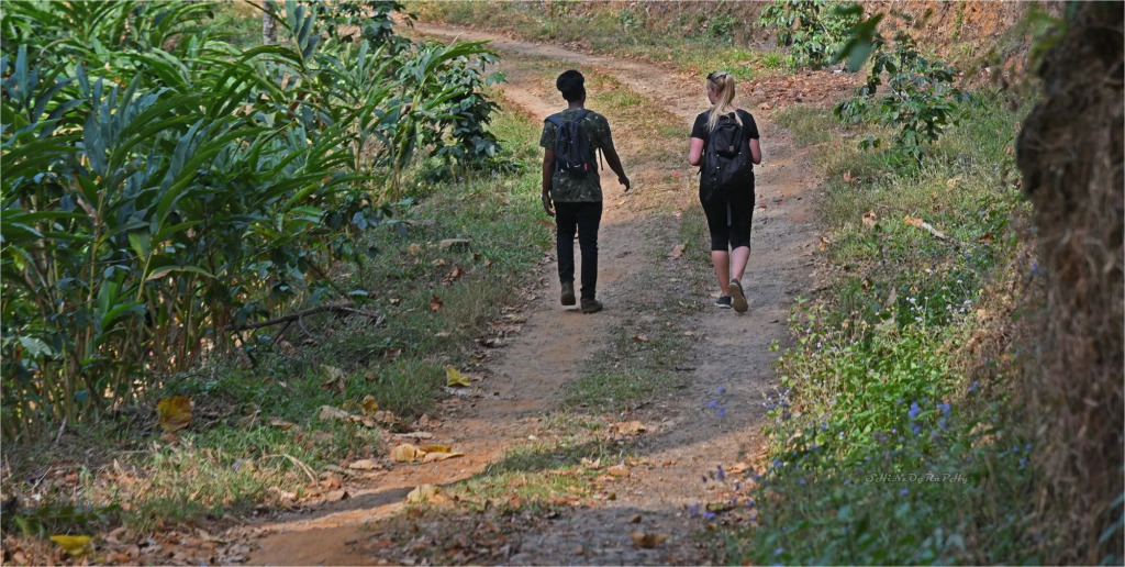 Dew Drops Farm Resort