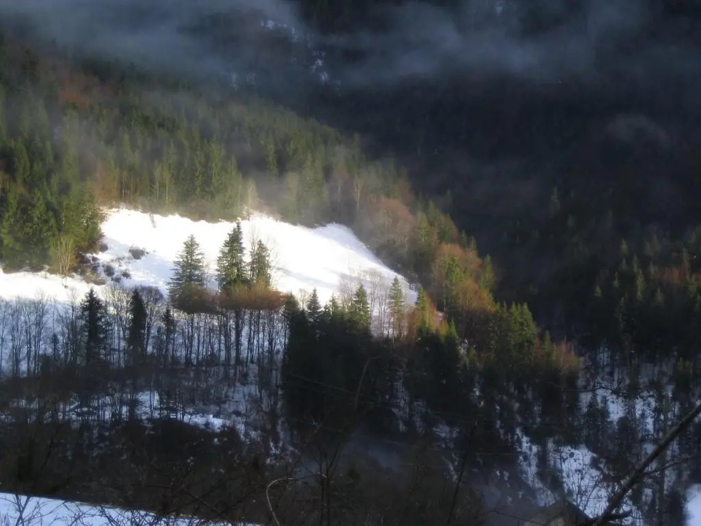 La Chouette à lheure du Pinson