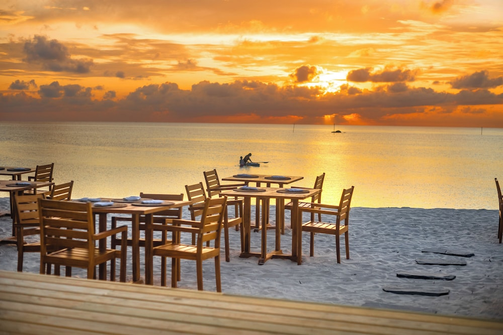 The Maverick Surf and Dive Boutique Hotel
