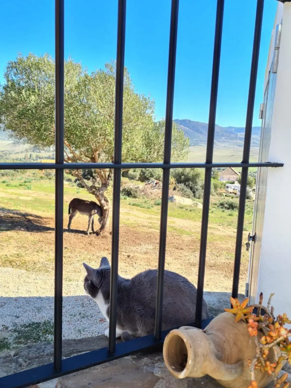 Rancho Blanco Tarifa La peña