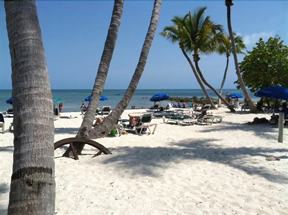 The Beach Bungalow