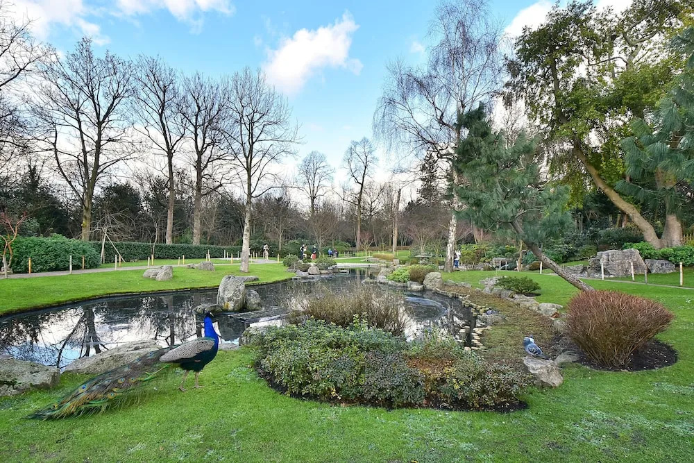 Oxford Street Marble Arch Exclusive - 55ks