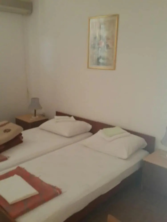 Apartments Andjus