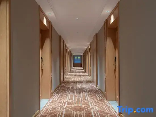VIENNAHOTEL（The New Tianrun store on Beijing North Road Urumqi Tianshan Interational Airport）