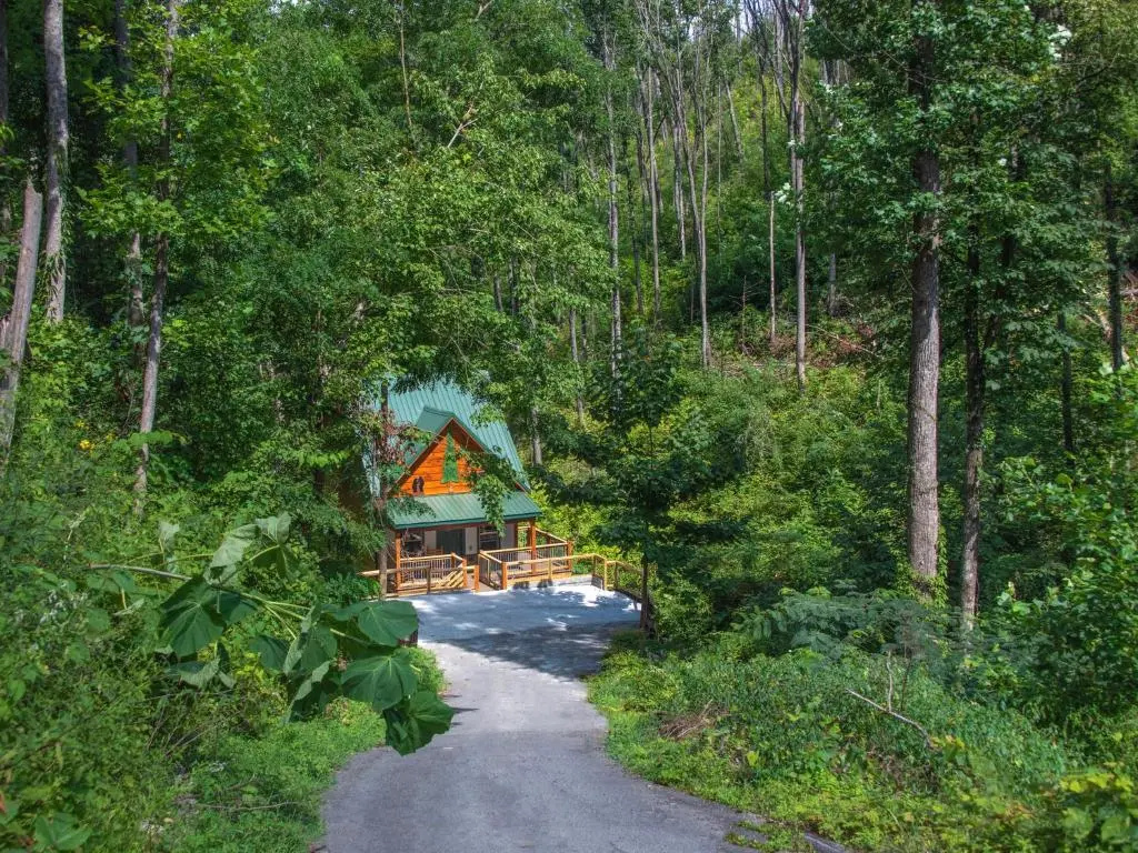 Bearly Hidden, 1 Bedroom, Loft, Resort Pool, Hot Tub, Fireplace, Sleeps 5