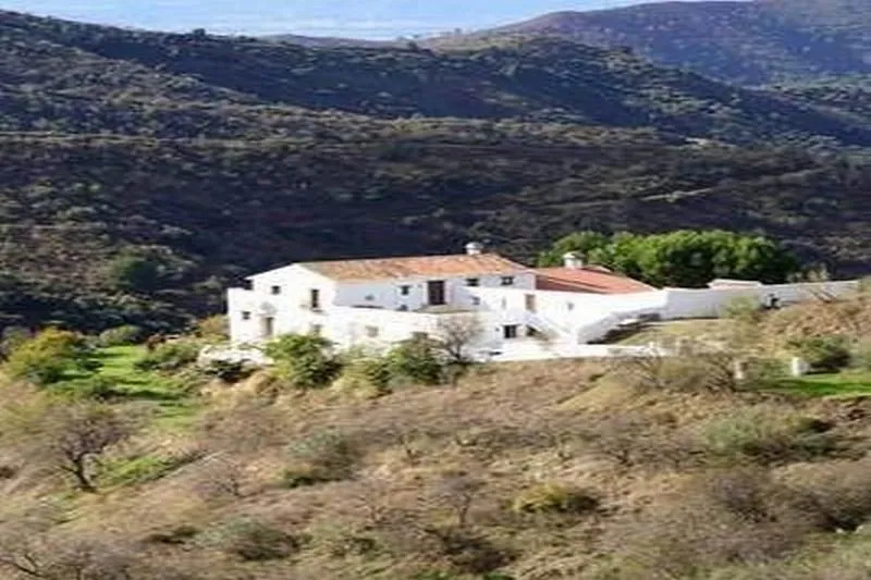 House in Malaga 101913