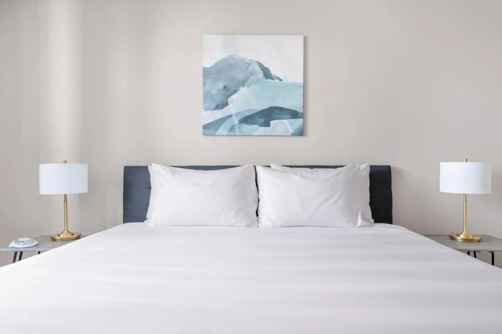 Chicago | Stunning 1BD/1BA River North Apartment
