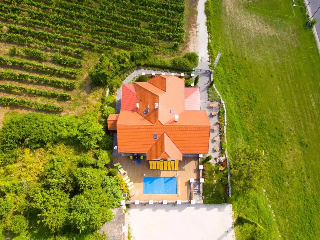 Badacsony Villa Ria