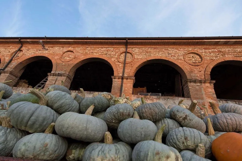 Agriturismo Arte Contadina