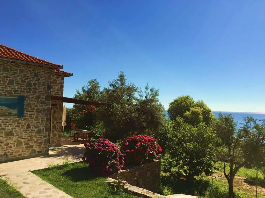 Orlys Villas