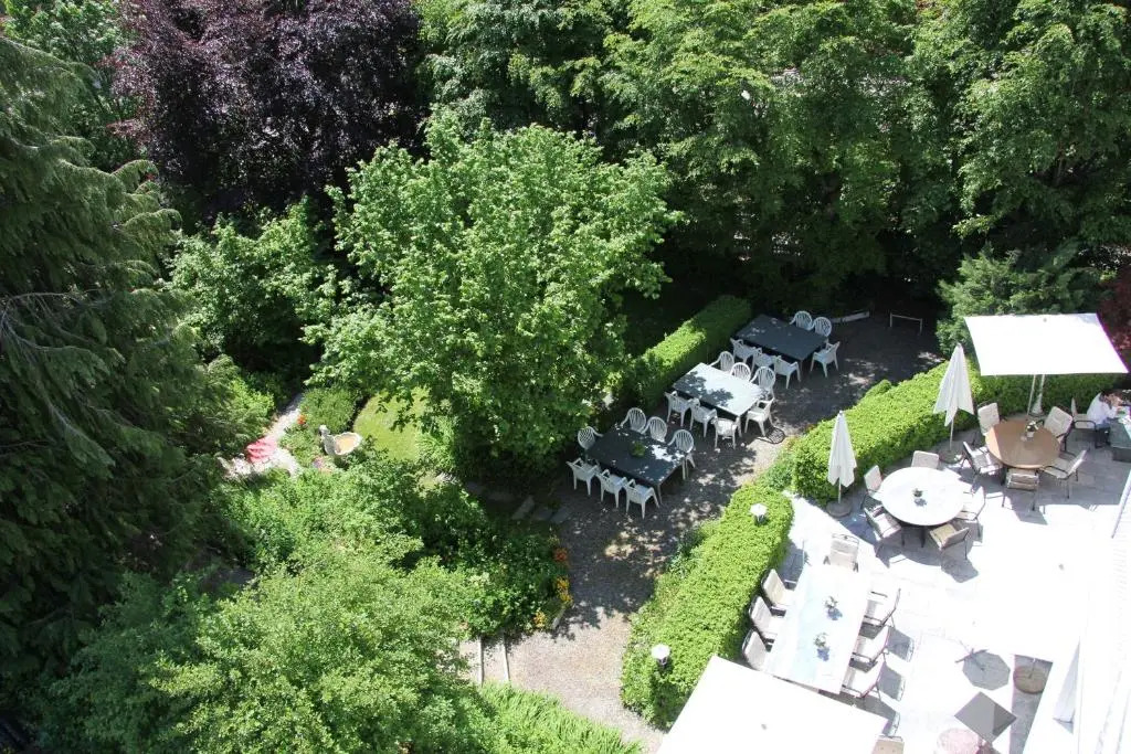 Hotel & Spezialitätenrestaurant zur Linde