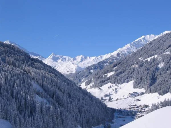 Honsnhof