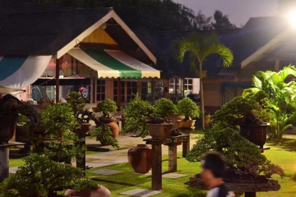 18 bonsai garden resort